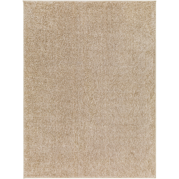 Aminna Indoor Rug