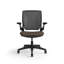 World LM, Black Ergonomic Task Chair with Poppy Seed Backrest, and Light Brown Autumn Upholstered Seat-1271284922-1272104365-1272104409