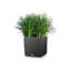Moneak Planter Box-2033258000-2033258002