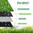 Artificial Grass Turf Rugs and Rolls-53115232