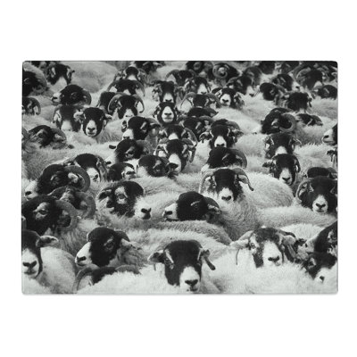 Flock Of Sheep  Glass Chopping Board