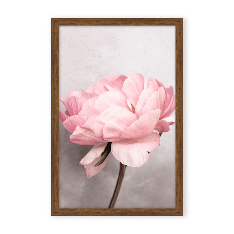 Nature Inspired Peony by  - Picture Frame Photograph on Paper, 24" H x 16" W x 1.125" D, Black, Framed Matted Print