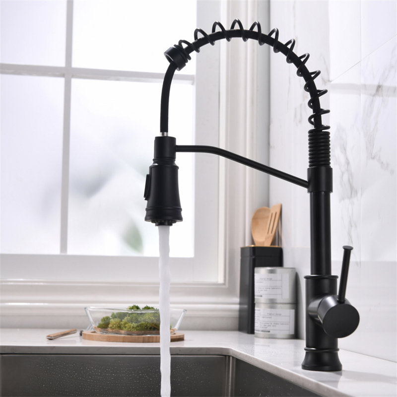 Robinet de cuisine avec douchette extractible et robinets d'évier de cuisine à poignée simple en acier inoxydable noir