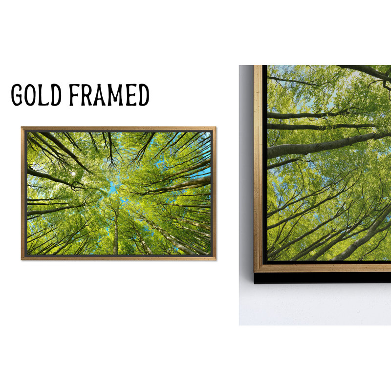 Élégante impression sur toile d'arbre vert: art mural Forest View, 1P or encadré, 63,1 po de hauteur x 114,2 po de largeur