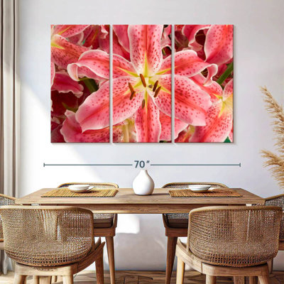 Fleurs de lys Harnek Stargazer