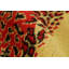 One-of-a-Kind 6'9x10'4 Hand Knotted Area Rug