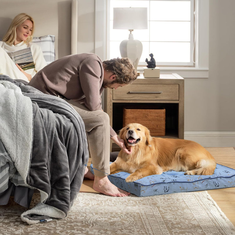 Ennice Polyester Pet Bed, 4.5" H x 40" W x 28" D, Blue