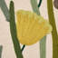 Deco Flower Embroidery Fabric