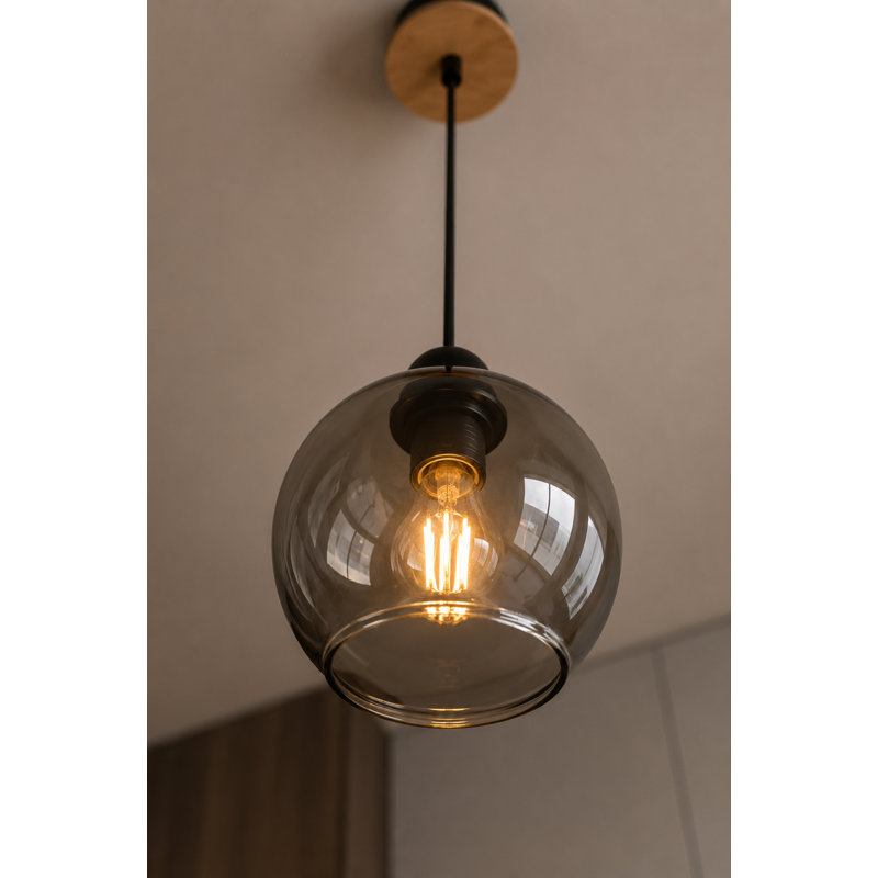 Snydertown 1 - Light Single Pendant