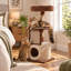 Arbre à chat moderne de 101,6 cm (40 po) avec branches en bois massif, poteaux en sisal et niche.