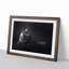 Maine Coon Kitten - Picture Frame Painting Print on MDF-55576771-55576773
