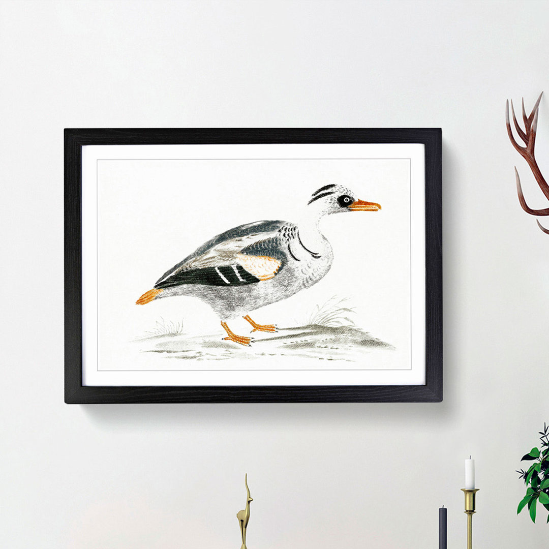 Portrait of a Duck by Johan Teyler - Picture Frame Painting Print