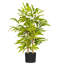 60 cm H Faux Bamboo Tree Plant in Cement Freestanding  Planter
