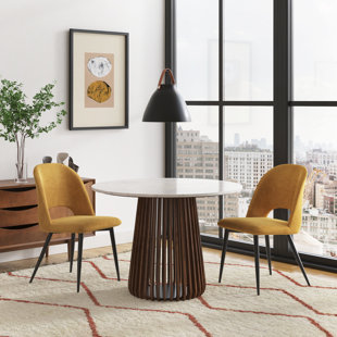 https://assets.wfcdn.com/im/13298766/resize-h310-w310%5Ecompr-r85/2166/216630188/Alexavia+Velvet+Side+Chair+%2528Set+of+2%2529.jpg