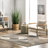 Jacaria Abstract Gray/Beige/Black Area Rug-1468245599