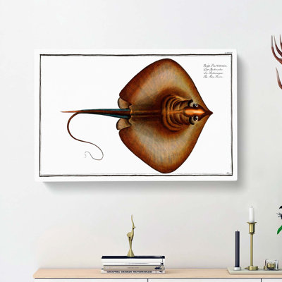 Stingray by M.E. Bloch - Wrapped Canvas