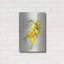 Art mural en métal Zest 2 pi par Julia Purinton, 16 po x 24 po-2007331017