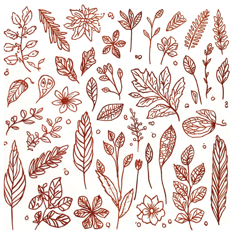Tapis de bain Botanical Leaf, L 24 po x L 17 po