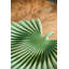 Assiette décorative Hemera Leaf