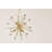Genesis 6 Light Chandelier