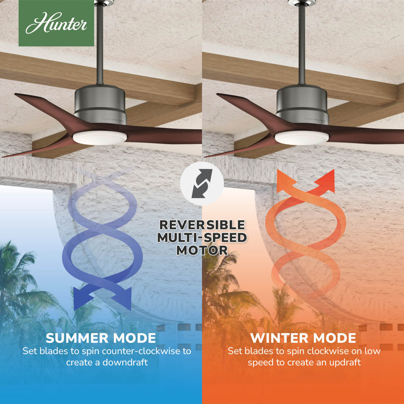 52'' Piston 3 -Blade Outdoor Standard Ceiling Fan with Remote Control and Light Kit Included, Brushed Slate