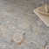 Castanon Oriental Gray Area Rug