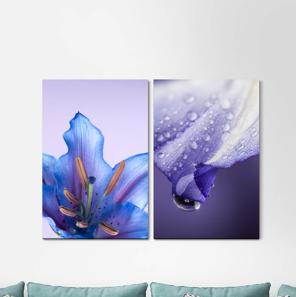 2-tlg. Leinwandbilder-Set Orchid Blue Blossom Flowers Summer Fresh Relaxing