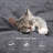 Crosshatch Microfiber-63180779-113419163