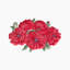 Poppies Bouquet Tissue Box Cover