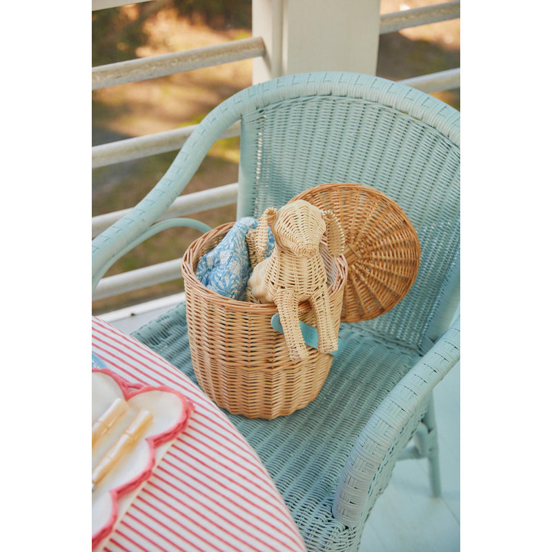 Amanda Lindroth Little Potcake