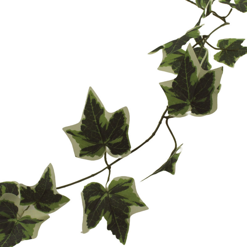 180cm Plant