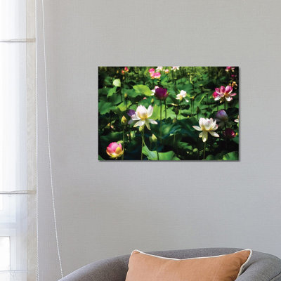 Blooming Lotus Flowers 1 Piece Wrapped Canvas Wall Art