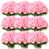 Rose est en rupture de stock