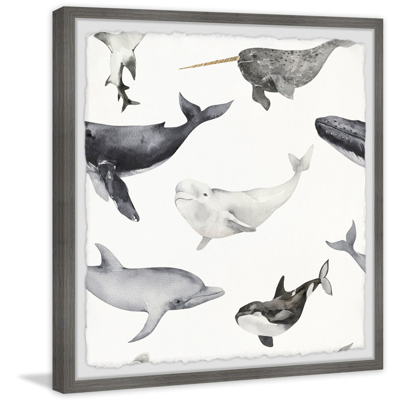Dolphins and Whales 1 Piece Single Picture Frame Wall Art, 81cm H x 81cm W x 3.81cm D
