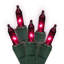 String Lights-491378148-522145438