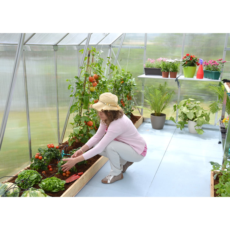 Essence 8' x 12' Silver Polycarbonate and Aluminum Greenhouse