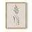 Delicate Stems II Framed Print - Solid Wood-1092538476