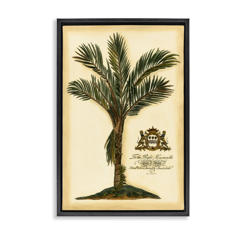 Cadre flottant vintage avec motif de palmiers, design par Vision Studio, H 31 po x l 21 po, Cadre flottant noir de jais