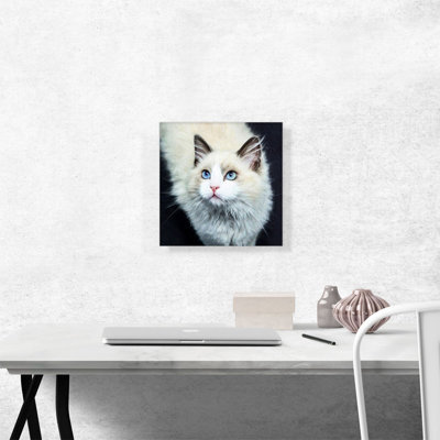 " Ragdoll Cat Breed Dark " Painting Print