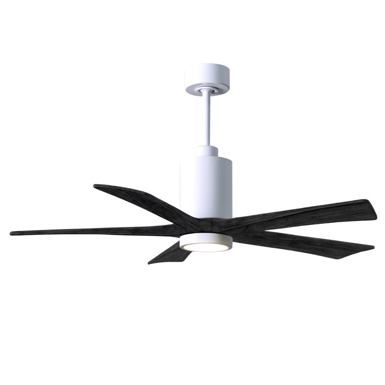 Patricia 52'' Ceiling Fan with LED Lights