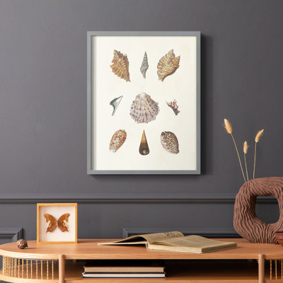 Knorr Shells & Coral VI, reproduction encadrée - bois massif