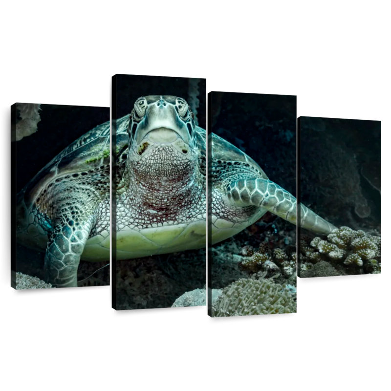 Brampt Bali Green Sea Turtle, 42" H x 68" W
