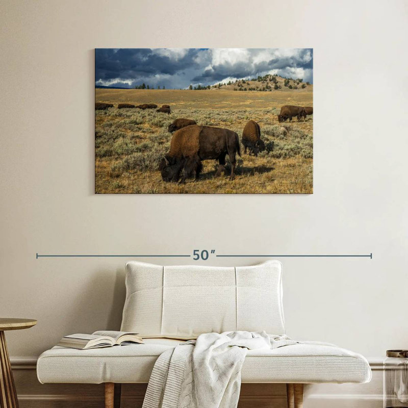 Brampt Yellowstone Bison, 26" H x 39" W