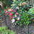 Abdulloh 114.3cm H x 154.94cm W Black Metal Lawn Edging