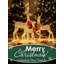 Ensemble de 3 pièces de famille de cerfs de Noël illuminés, décoration de vacances extérieure scintillante dorée, imperméable