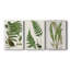 Fern I - toile tendue sur mesure - 3 pièces-1244838721