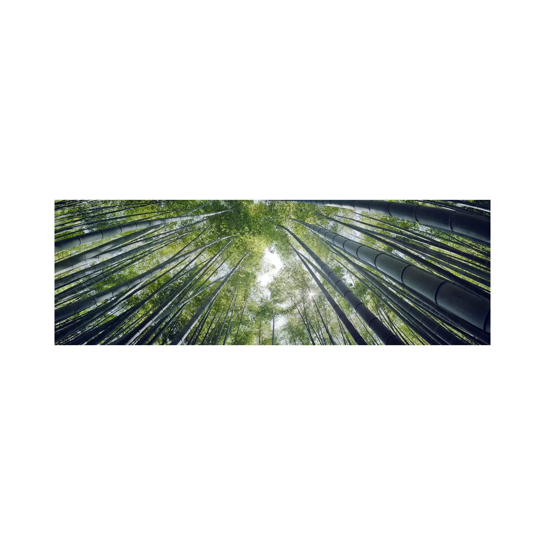 Low Angle View of Bamboo Trees, Hokokuji Temple, Kamakura - Wrapped Canvas Panoramic Photograph