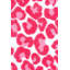 Tapis imprimé animal - guépard suspendu-1714718099