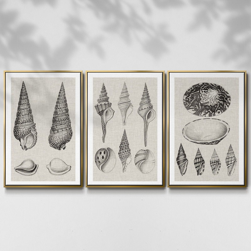 " Charcoal And Linen Shells I " 3 - Pieces, Gold, 27" H x 54" W