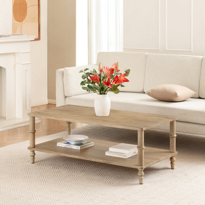Table basse en bois massif avec rangement à 2 niveaux Orleans